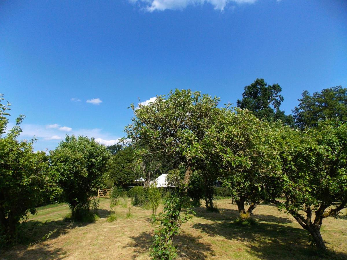 Hope Cottage Bell Tent Retreat Ashbourne  Buitenkant foto
